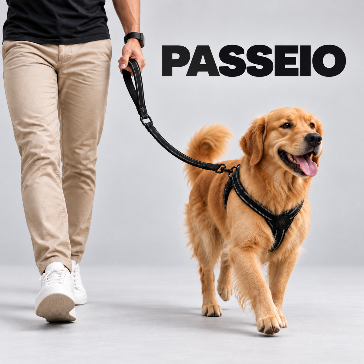 PASSEIO
